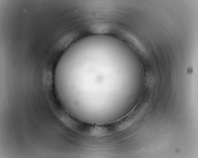 X0000103970549200809191537