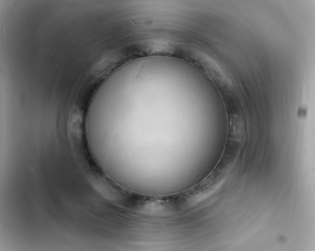 X0000103970550200809191537