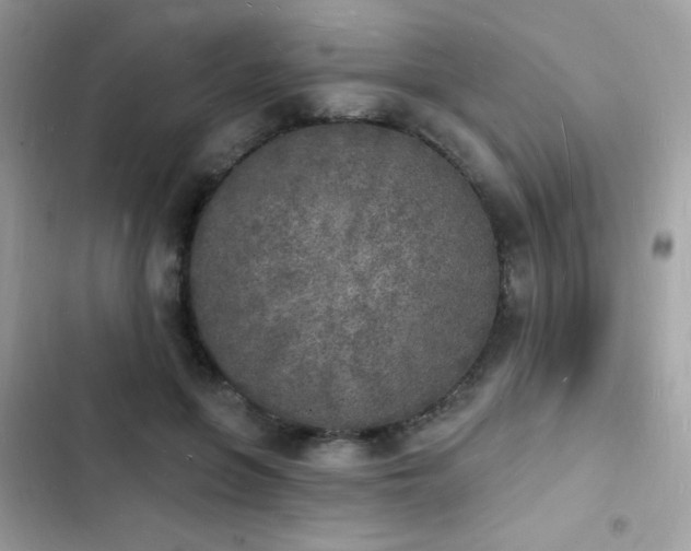 X0000103970551200809191537