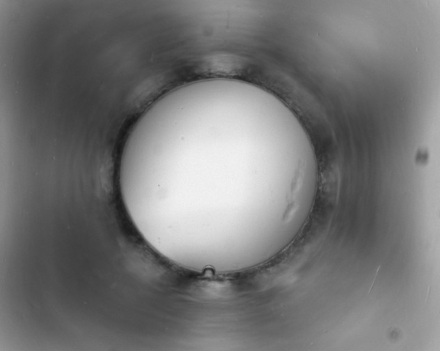 X0000103970552200809191537