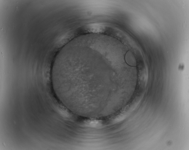 X0000103970553200809191537