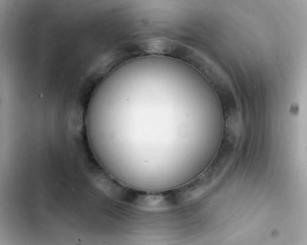 X0000103970554200809191537