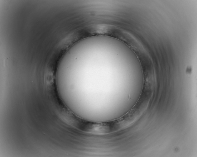 X0000103970555200809191537