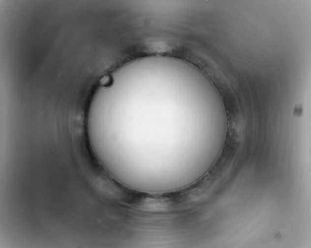 X0000103970556200809191537