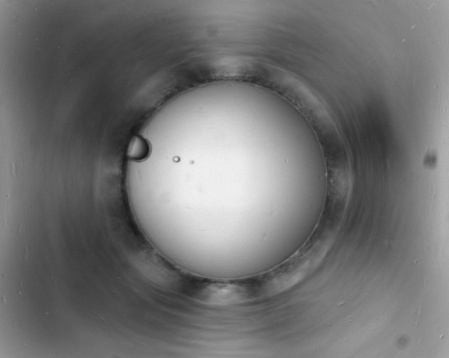 X0000103970557200809191537