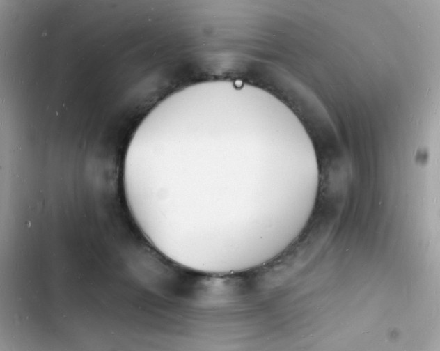 X0000103970558200809191537