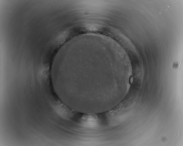 X0000103970559200809191537