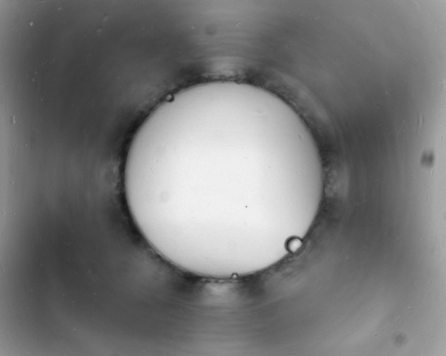 X0000103970560200809191537