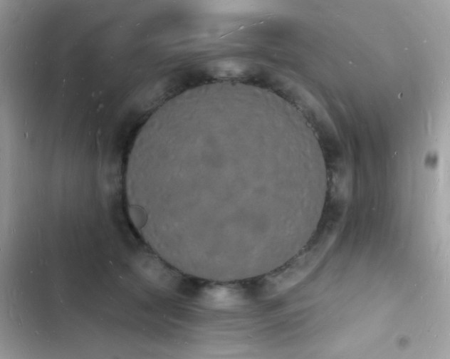 X0000103970561200809191537