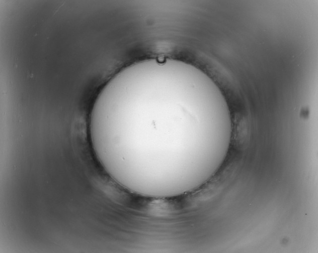 X0000103970562200809191537