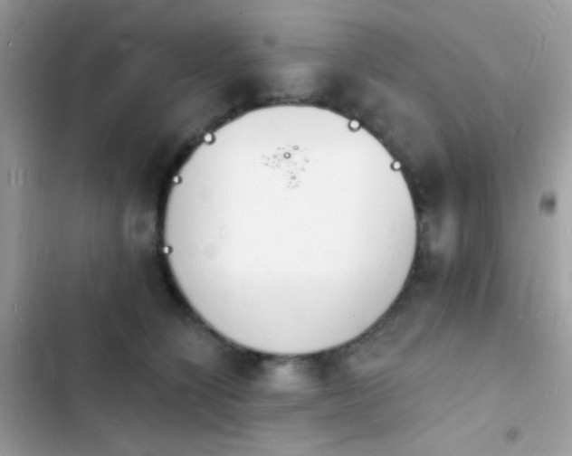 X0000103970564200809191537