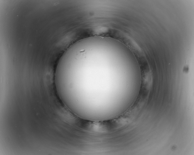 X0000103970565200809191537