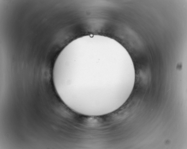 X0000103970566200809191537