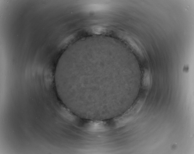 X0000103970569200809191537