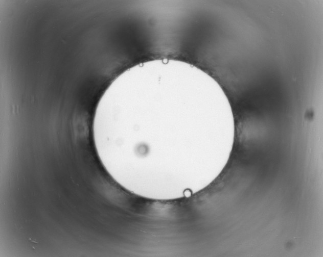 X0000103970570200809191537