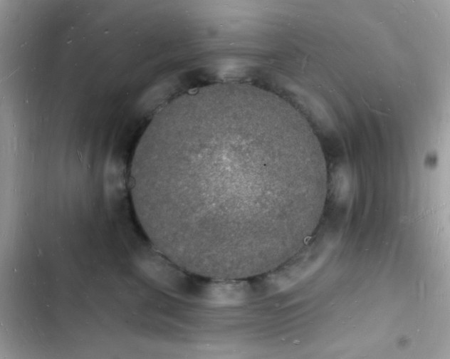 X0000103970571200809191537