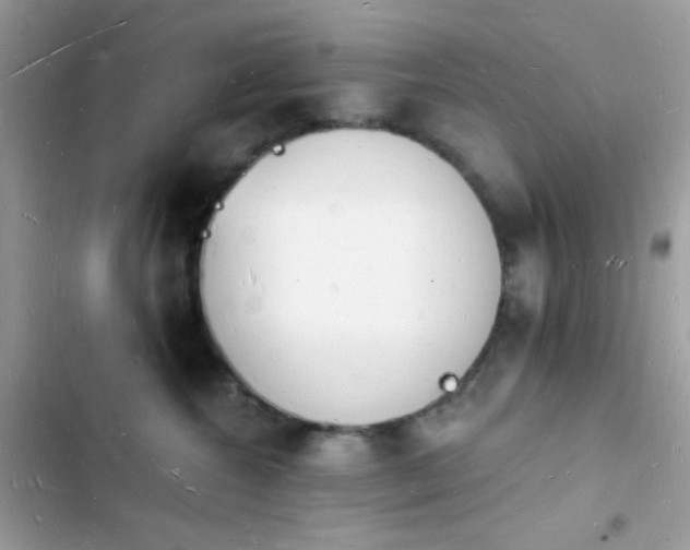 X0000103970572200809191537