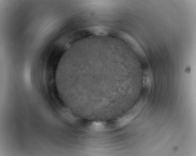 X0000103970573200809191537