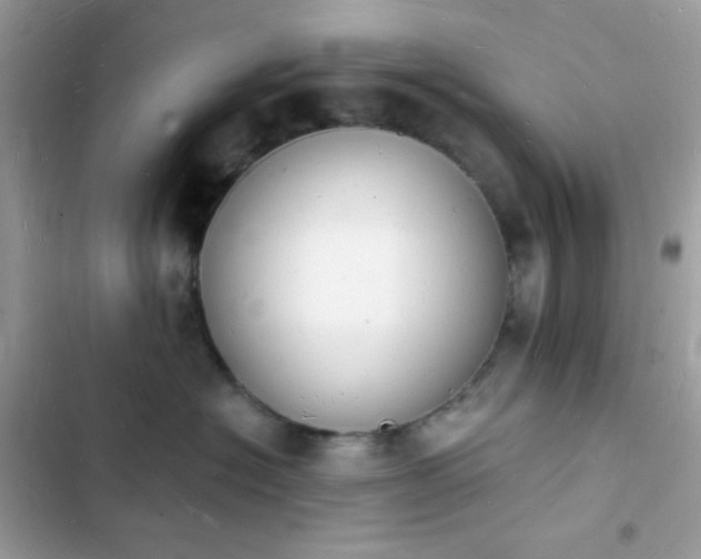 X0000103970574200809191537