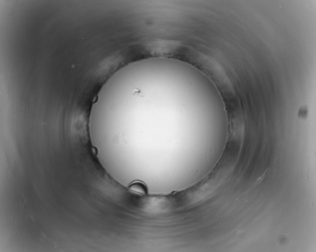 X0000103970575200809191537