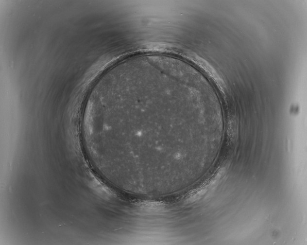 X0000103970577200809191536