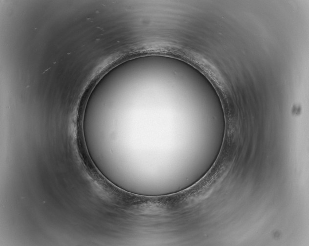 X0000103970578200809191536