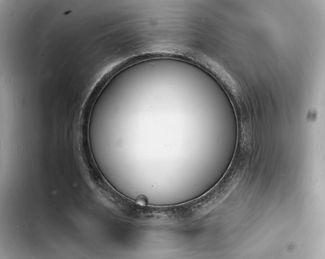 X0000103970580200809191536