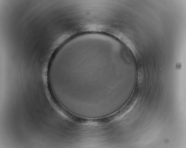 X0000103970581200809191536