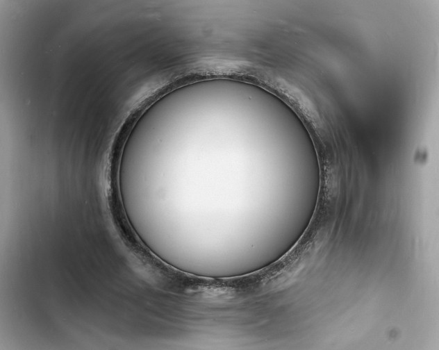 X0000103970582200809191536