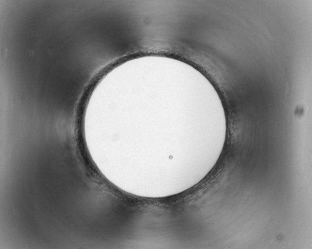 X0000103970583200809191536