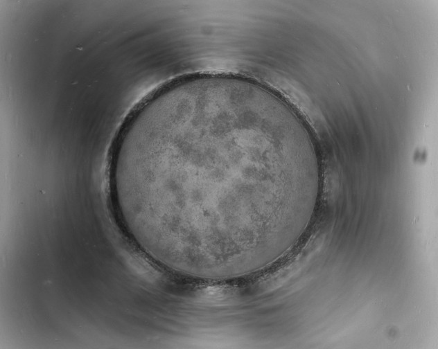 X0000103970584200809191536