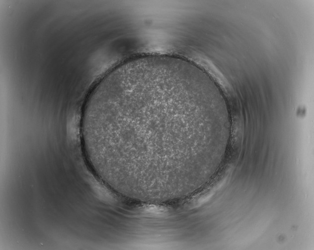 X0000103970585200809191536