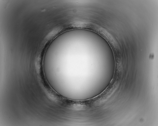 X0000103970586200809191536