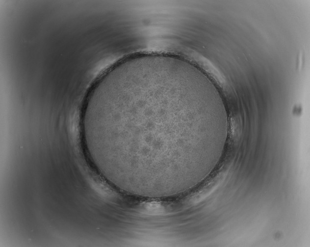 X0000103970588200809191536