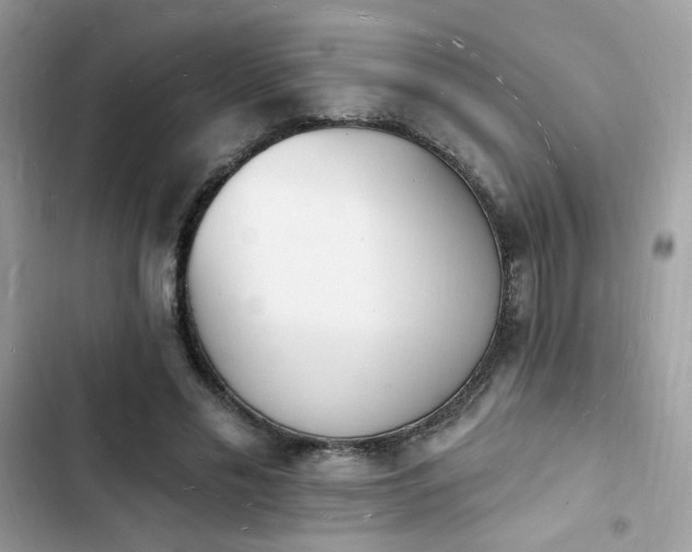 X0000103970589200809191536