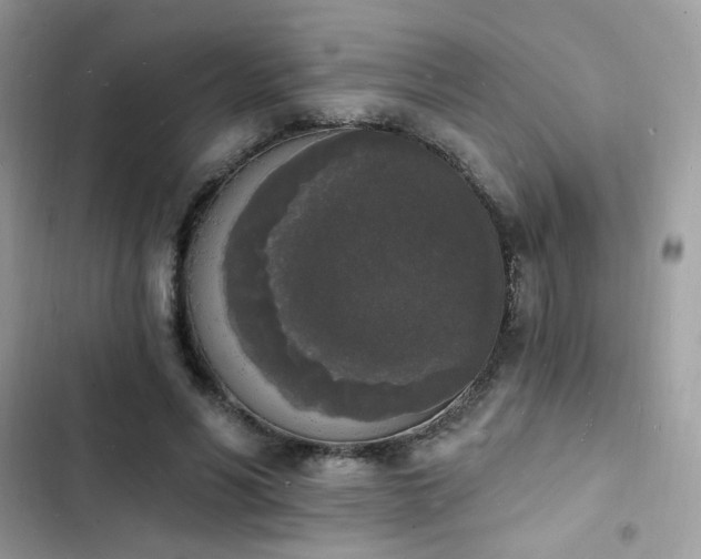 X0000103970590200809191536