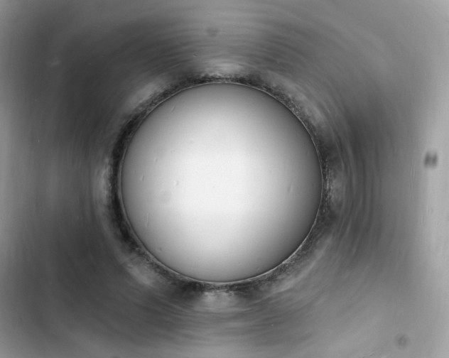 X0000103970591200809191536