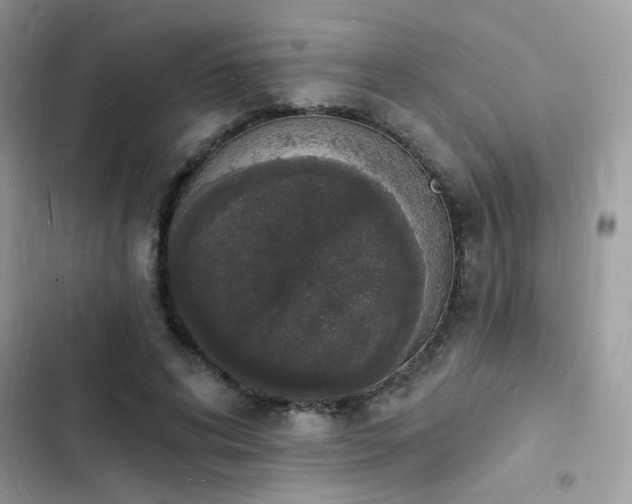 X0000103970592200809191536