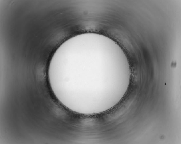 X0000103970593200809191536