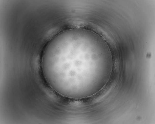 X0000103970594200809191536