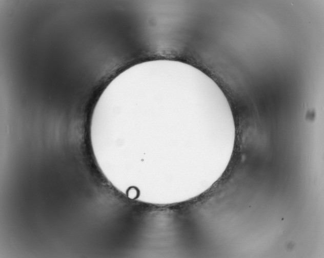 X0000103970595200809191536