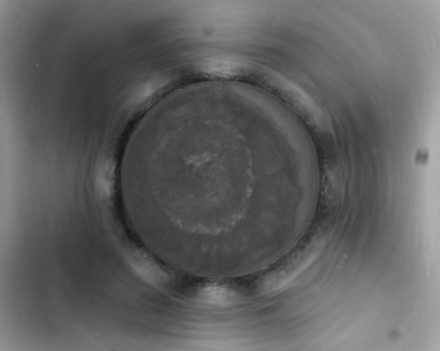 X0000103970596200809191536