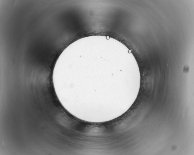 X0000103970597200809191536