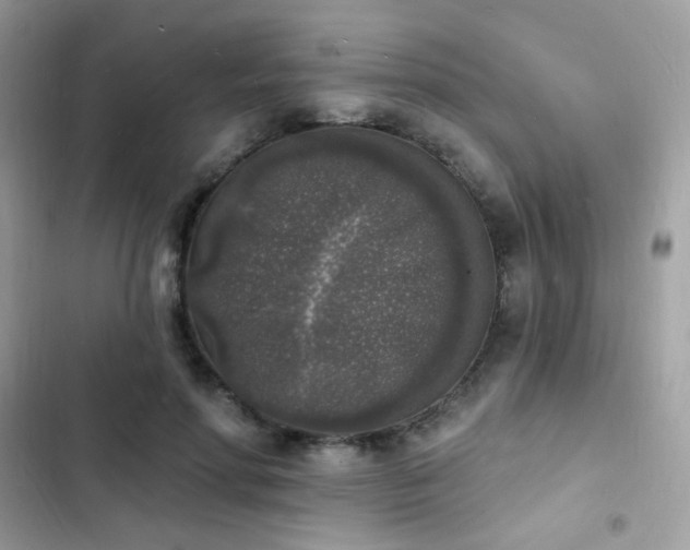 X0000103970598200809191536