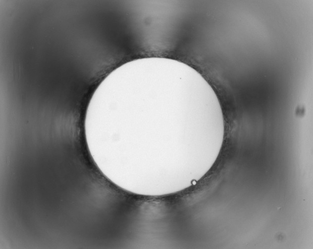 X0000103970599200809191536