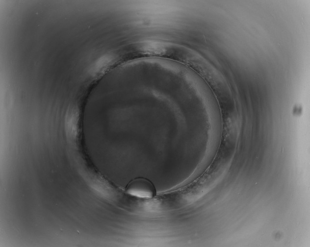 X0000103970600200809191536