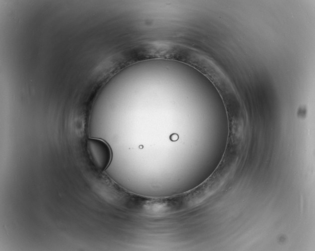 X0000103970602200809191536