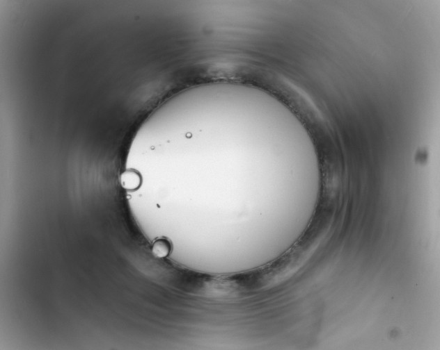 X0000103970603200809191536