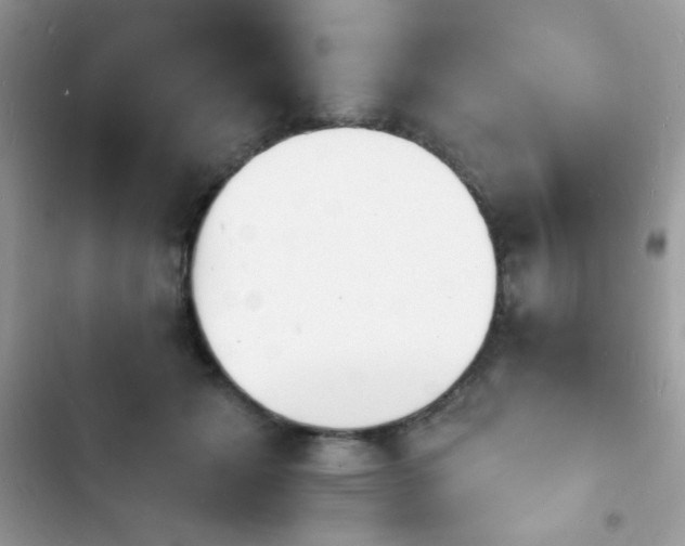 X0000103970605200809191536