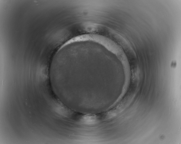 X0000103970606200809191536